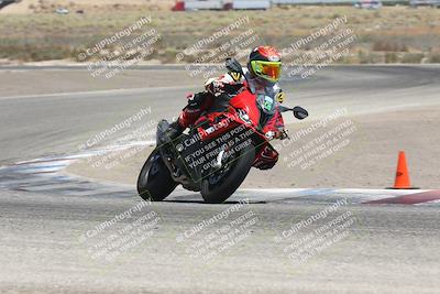 media/Aug-03-2024-TrackDaz (Sat) [[30bed884ff]]/C Group/1240pm (Grapevine)/